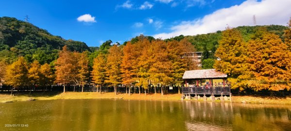 #花卉試驗中心 #永公路500巷 #平菁街42巷 #原住民公園 #士林官邸 1/42980360