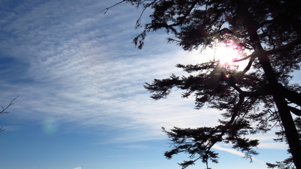 超越自我奇萊南華行24220