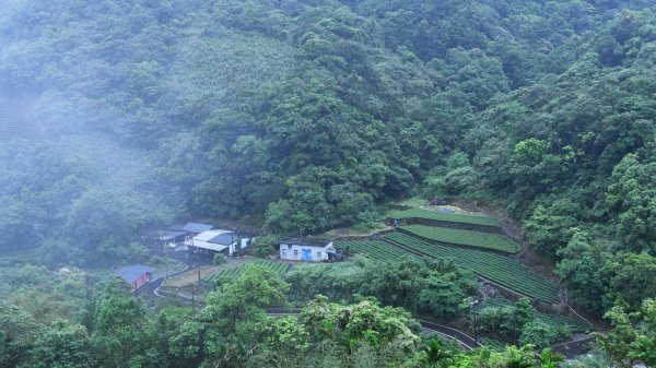 淡蘭古道中路（闊瀨崩山坑環線）989139