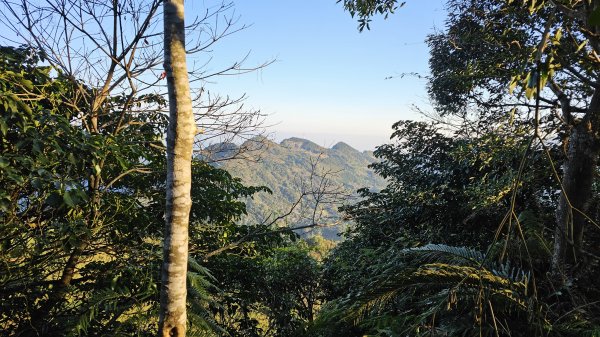 鵝公髻山 鵝公髻山東北峰 第一登山口上下入門路線2395271