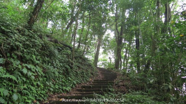 《雲林》望好望角｜石壁山嘉南雲峰步道(中側登山口）202506072805473