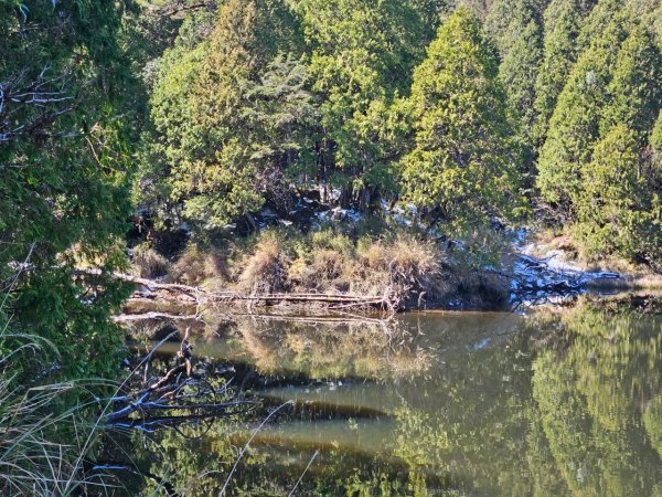 20250130三星山-三星池-翠峰湖-望洋山2702592