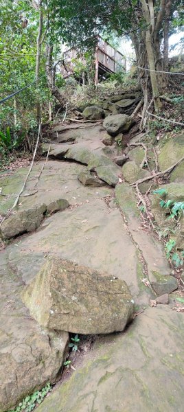 鳶山（福德坑山）2970865