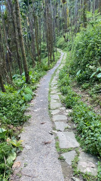 梅峰古道、竹子尖山、觀音步道繞一圈