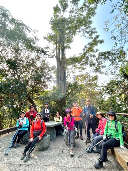 荷苞山登山步道走荷芭山小溪子山 午餐吃塔可飯幸福耶2996066