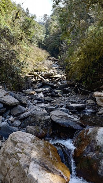 仙女散落的珍珠2723929