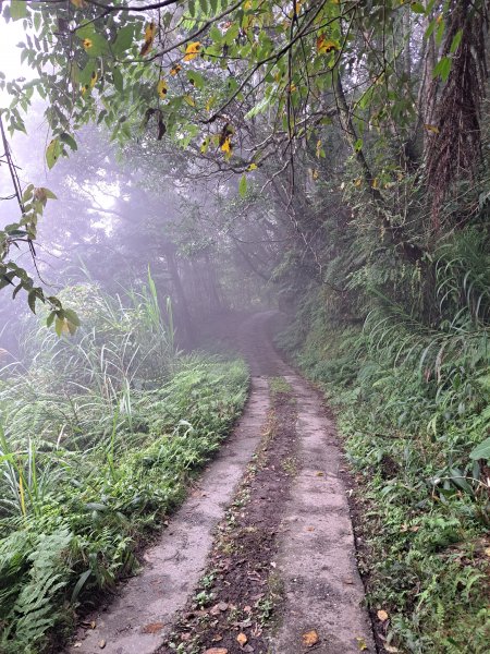 砂卡礑二日行D1：得卡倫步道→大禮部落→砂卡礑林道→立霧山→大同部落202312022368259