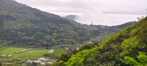陽明山追雲趣 #天空之城 #石門嵩山梯田 #鳶尾花 #老梅綠石槽 4/5-63030194