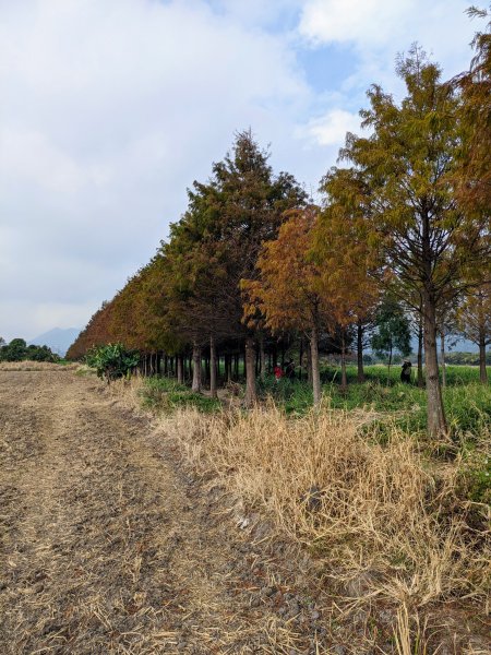 農禪寺,普濟寺2407046