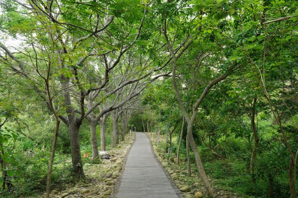 臺中 龍井 竹坑山2767042