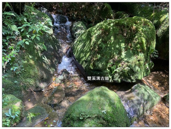 臺北大縱走第四段 風櫃嘴至捷運大湖公園站3079938