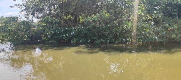 八德埤塘生態公園2890760