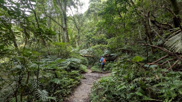 114.06.14雙石縱走&石門水庫-石牛山之旅2812236