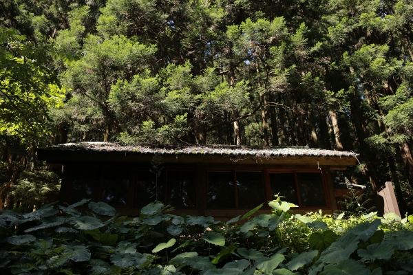 加里山：鹿場登山口77847