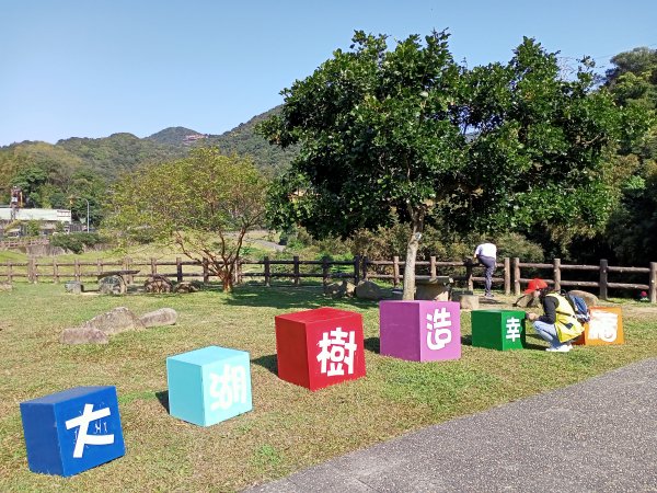 【臺北大縱走 4+5】2-1《仲春嬉遊大溝溪溪畔步道→圓覺寺步道→圓覺瀑布→碧山巖→忠勇山→劍南路》1644751