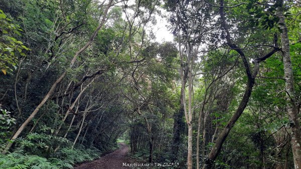 《苗栗》關刀出關｜三義關刀山出關古道(聖關段-苗56)202509052878778