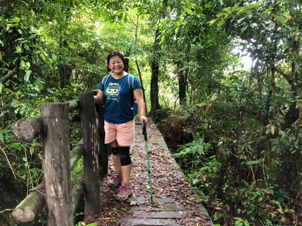 嘉南雲峰、石壁山有著讓人嚇到哭的螞蝗現身596808