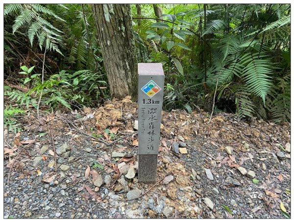 澀水森林步道、水上瀑布2846778