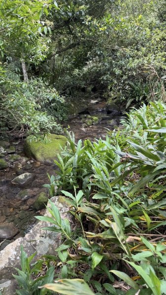 20250404銀河洞越嶺登山步道2752996