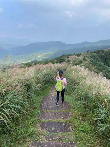 桃源谷步道(大溪線+草嶺古道線)-下大里天公廟1508093