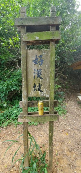 2021-07/14- 高雄鼓山區-壽山0141440387