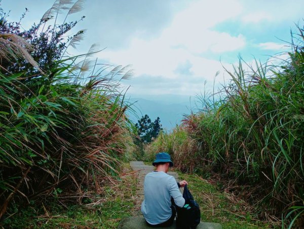 五分山步道1249722