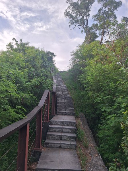 台東鯉魚山11508083115836