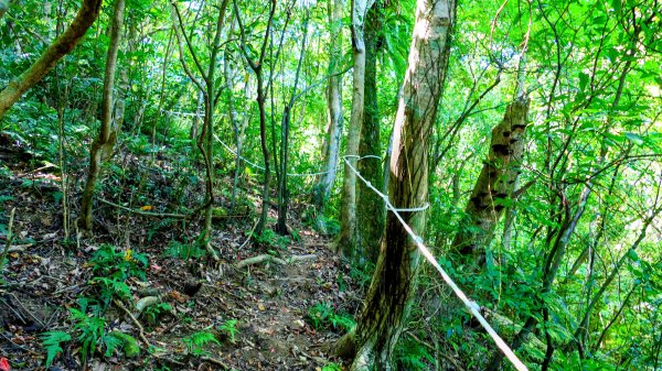 崩山坑越嶺內盤山2913785