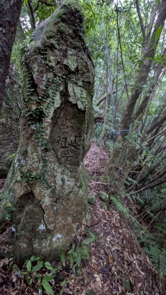 114.05.17聖人崙-聖人瀑布之旅2789516