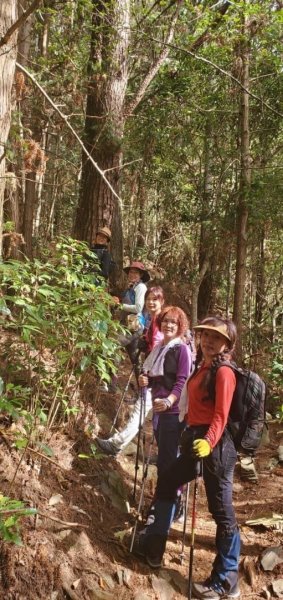 馬崙山之谷關七雄2635213