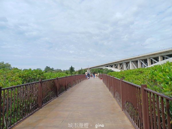 【新竹新豐】台灣唯一建有觀賞步道的生態保護區。 新豐紅樹林生態保護區2381823