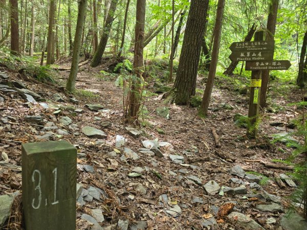 志佳陽大山（回程走高繞環山獵人登山步道）2542135