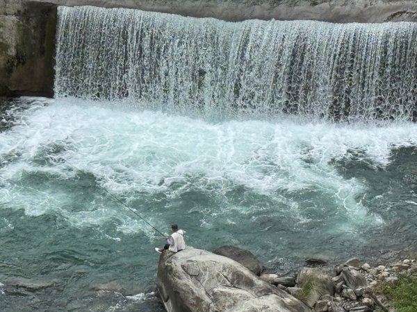 清泉 雪霸農場 野馬瞰山2925851