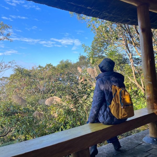 幸福五感森林癒2694314