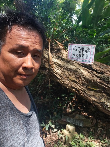 關西赤柯山、東獅頭山步道（玉山太元宮中元）2881699