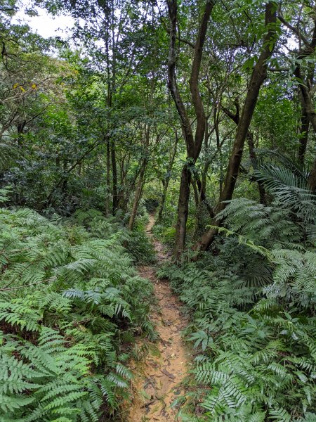 石門山 姜子寮絕壁 泰安瀑布1663762