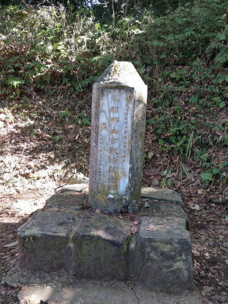 馬那邦山(小百岳#37)登山步道。點點楓紅 2020/12/131425336