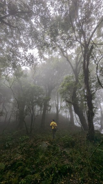 113.06.01魯壁山-東穗山之旅2529885