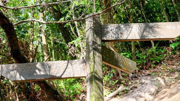 柯子林保甲路,如意湖,五指山古道2848892