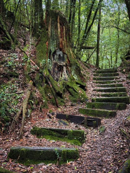 船型山-稍來小雪山國家步道3138050