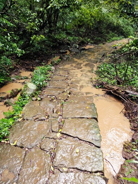 2025臺北大縱走第一段：關渡至二子坪2973522