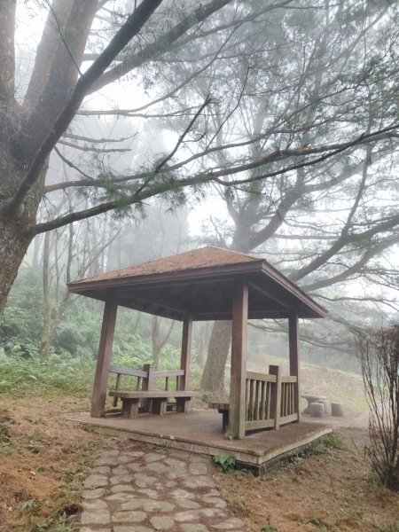 九讚頭車站-大崎棟.茶亭.逃學.騎龍古道20幾K繞大O2972510