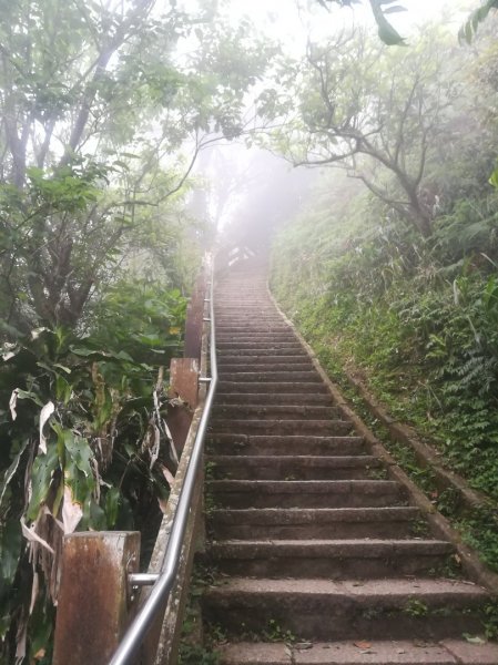 小百岳013號～南港山，幾乎整路爬樓梯，不怕樓梯者限定1348546