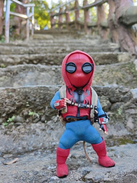 2023.12.24 旗尾山2838055