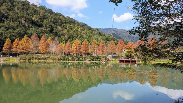 望龍埤,鎮頭山,蜊埤湖2391873