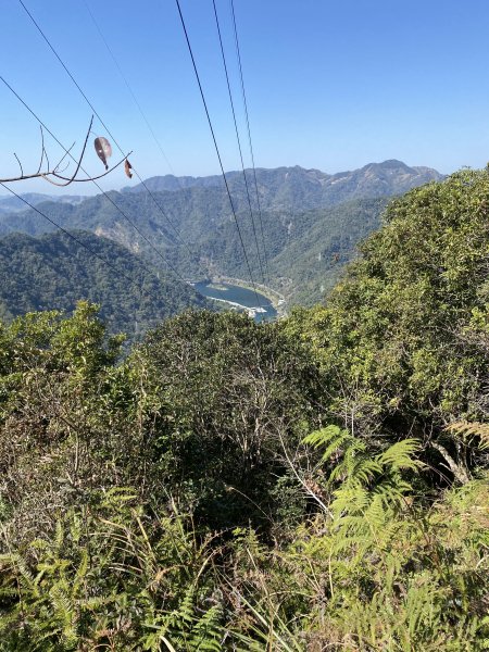 東卯山11201293059436