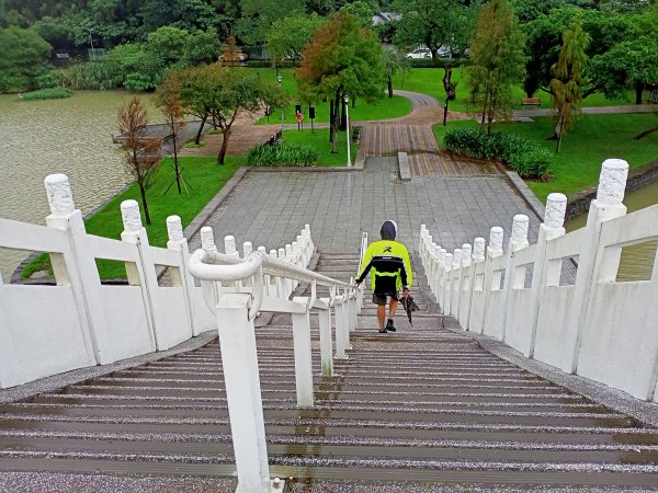 大湖公園 (防災公園)【走路趣尋寶】1897948