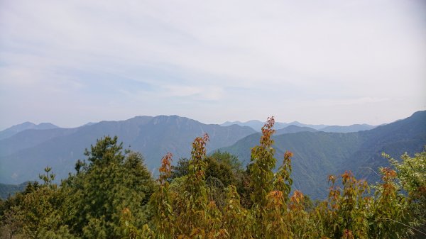 20200418東埔山-東埔大草原1625343