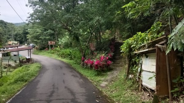 汐止區翠湖步道-學頭坡步道-老鷲尖-內溝山步道-翠湖P字走3051223