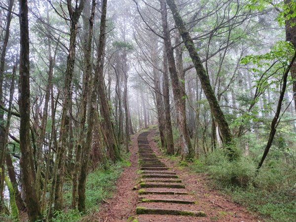 對高岳步道1053513